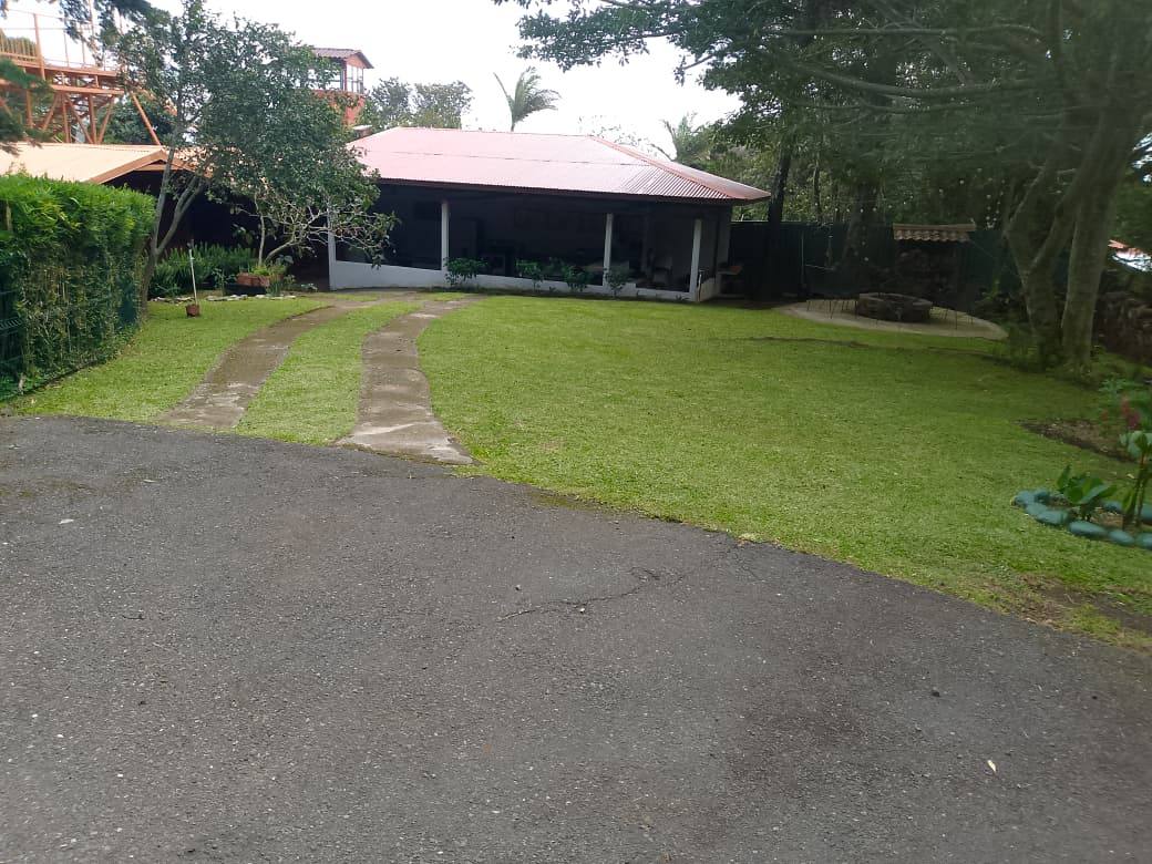Jardín residencial con césped recién cortado y bordes definidos