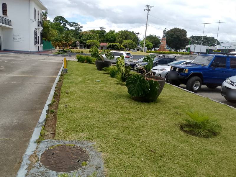 Franja de césped recién cortado con bordes definidos y maceteros junto a un parqueo